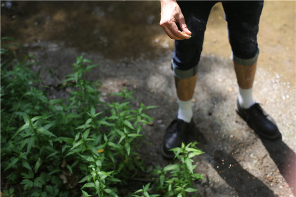 土壤成分检测仪器